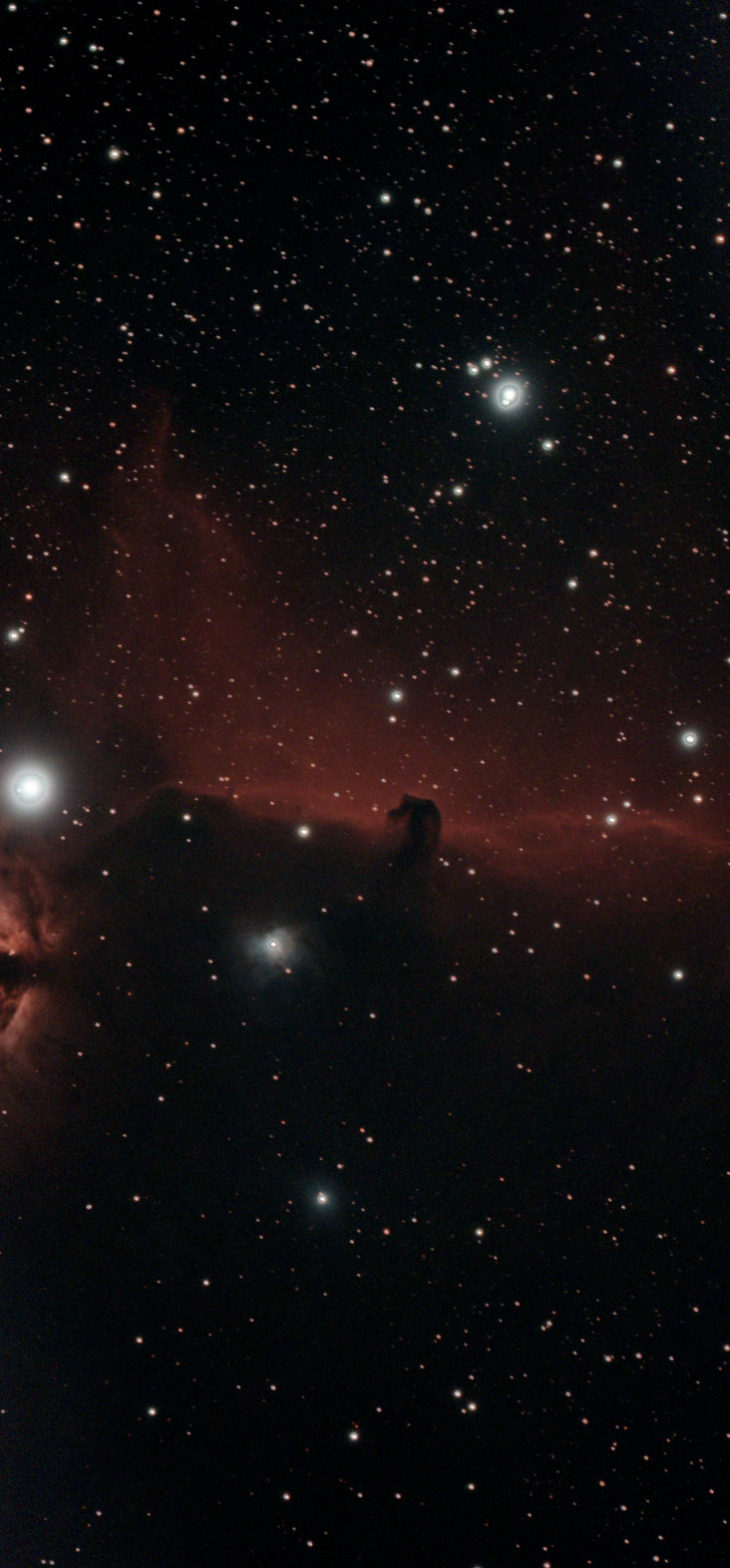 Horsehead Nebula